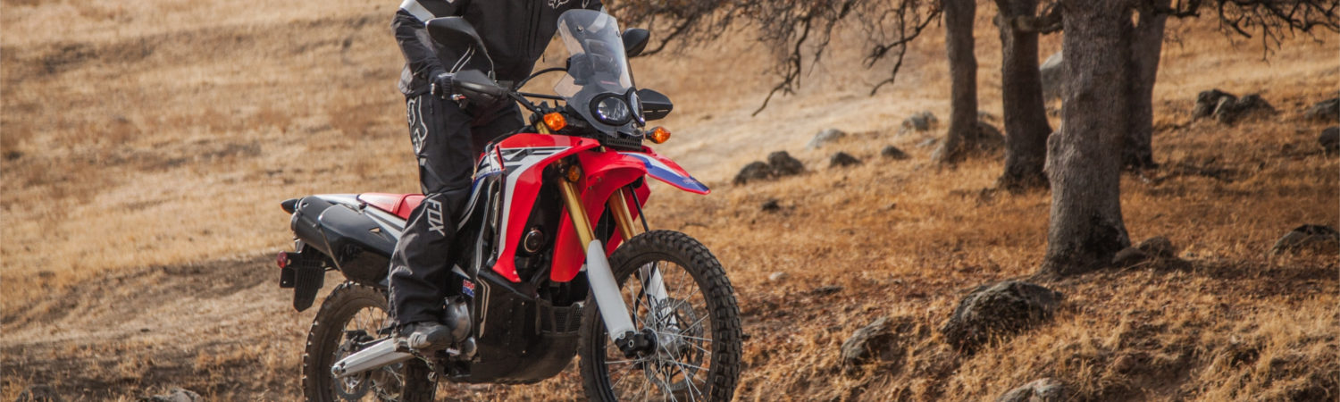 2017 Honda® Dual Sport CRF250L Rally in Sportsman's Cycle and Marine, Morgan City, Louisiana